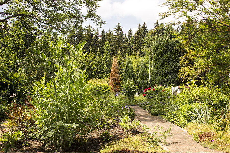 Landhaus Bergidyll Bärenstein Exteriér fotografie