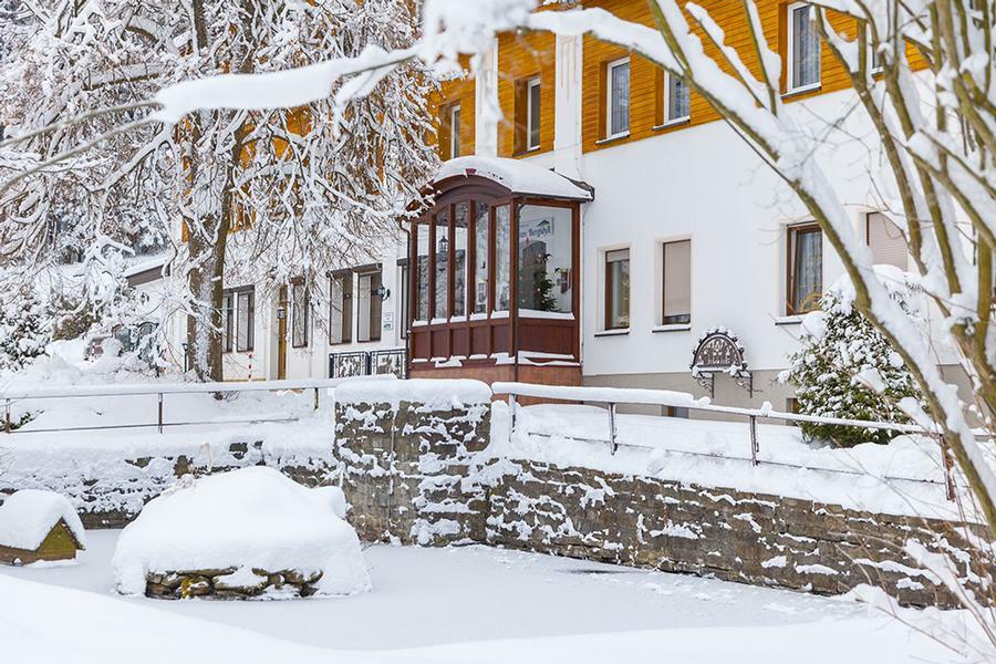 Landhaus Bergidyll Bärenstein Exteriér fotografie