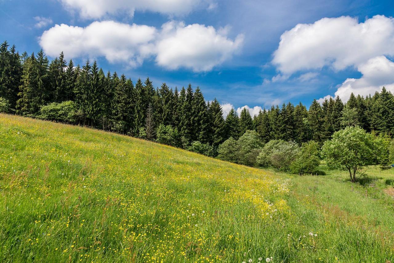 Landhaus Bergidyll Bärenstein Exteriér fotografie